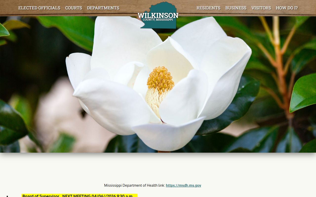 Official Wilkinson County government homepage used to find court records